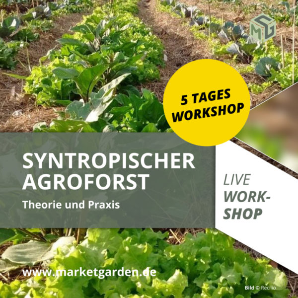 Syntropischer Agroforst Workshop - MARKETGARDEN