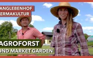 Agroforst und Flächenvorbereitung im Market Garden | LangLebenHof Permakultur | Rundgang 1