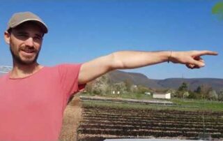 Hellebauer | No Dig Market Garden | Gartenrundgang (2019)