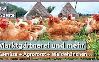 Market Garden, Agroforst, Weidehänchen & Weidegänse | Hof Woeste | Mikrofarming Konferenz 2022
