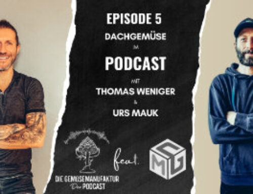 Podcast Folge 5 – Ich wollte es in der Stadt machen – mit Gärtnerei Dachgemüse