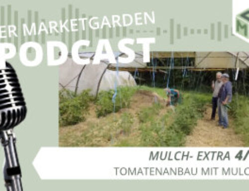 Podcast Extra: Mulch (4/7) – Tomatenanbau mit Mulch