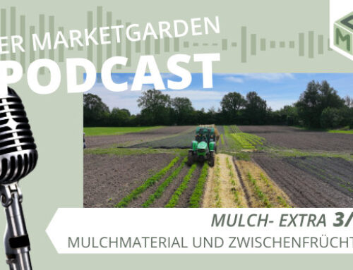 Podcast Extra: Mulch (3/7) – Mulchmaterial und Zwischenfrüchte