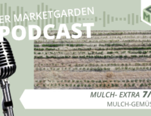 Podcast Extra: Mulch (7/7) – Mulchgemüse – Betrieb Meiners